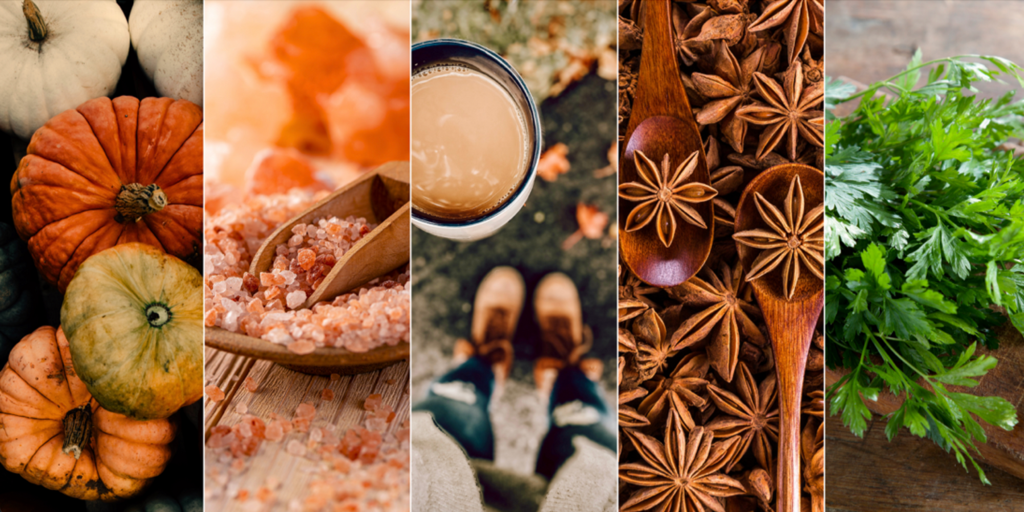 Warm Spices