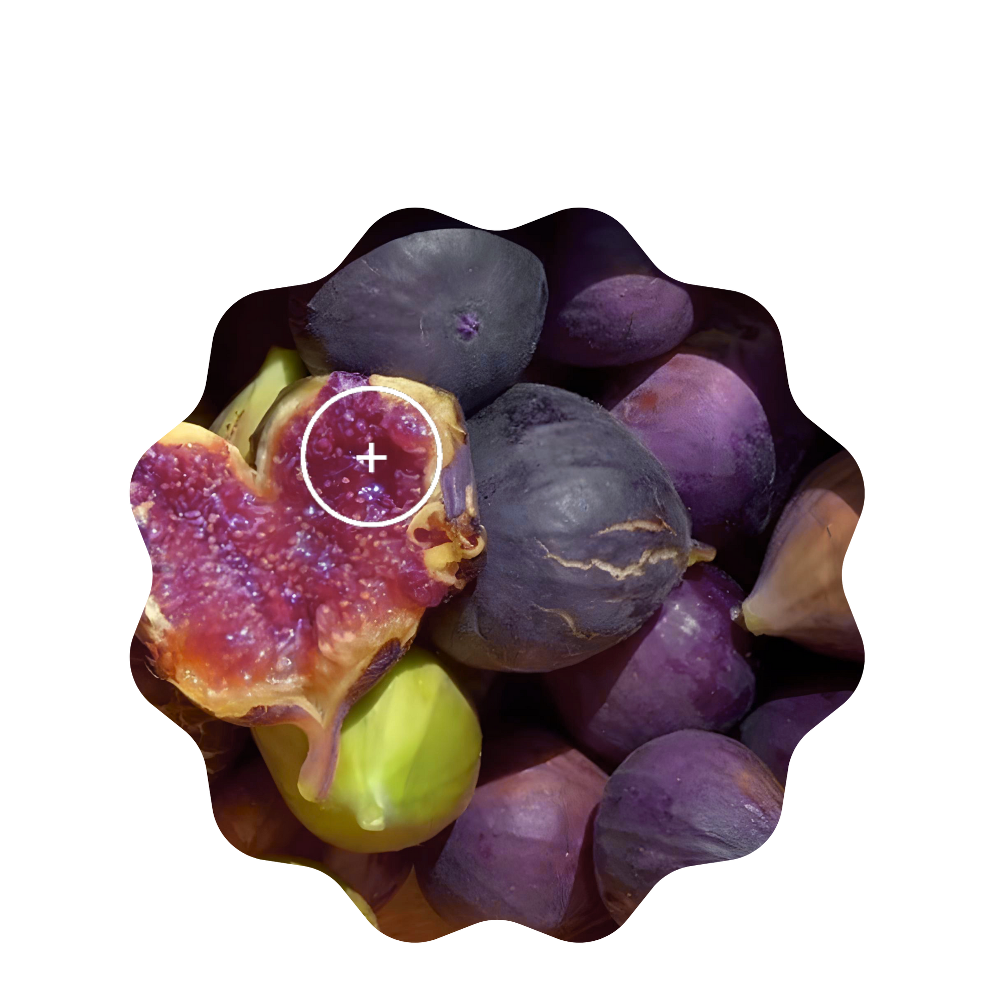 fig jam