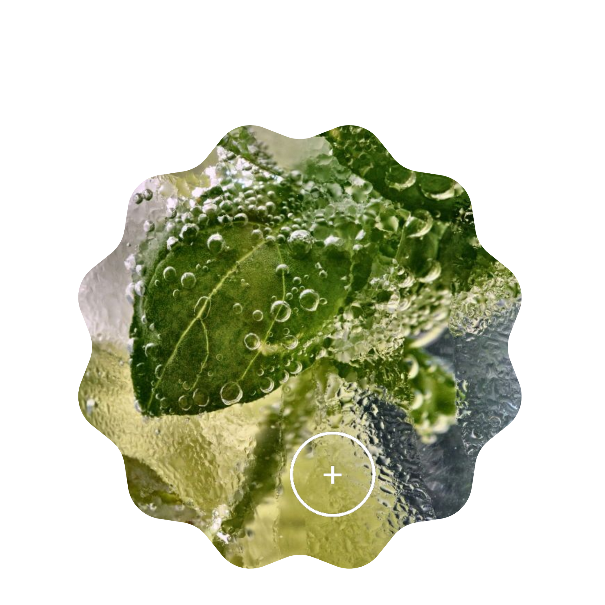 mint mojito