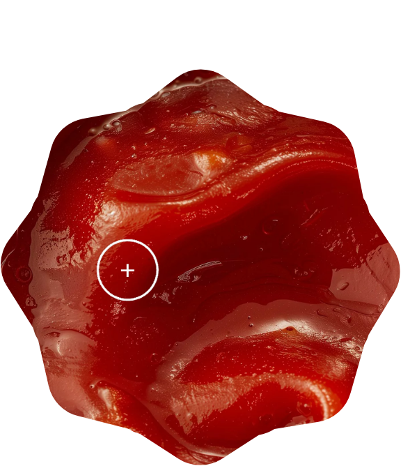 let's ketchup