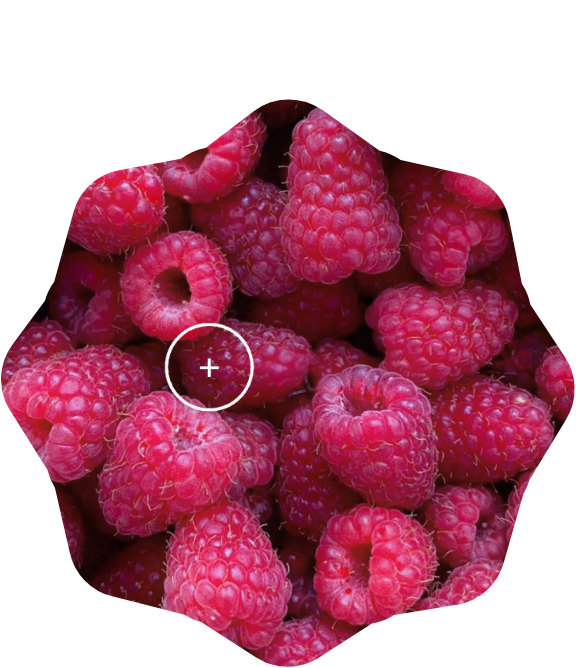 berry basket