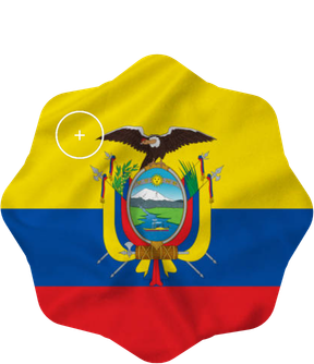 Ecuador Yellow
